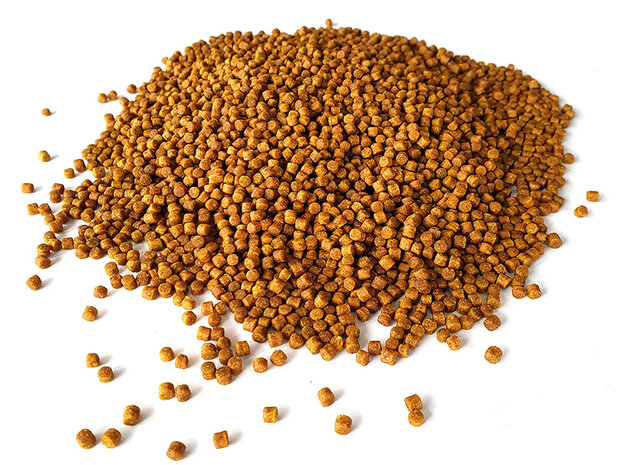 Scopex pellets