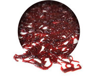 Bloodworm Frisch